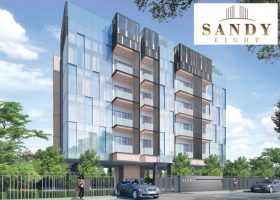 Sandy Eight