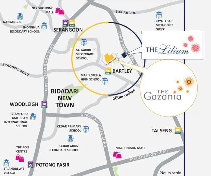 The Gazania Location Map