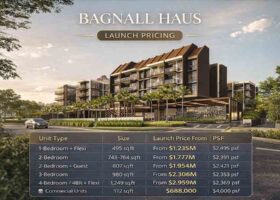 Bagnall Haus launch pricing showing unit types, sizes and price from freehold condo near Sungei Bedok MRT