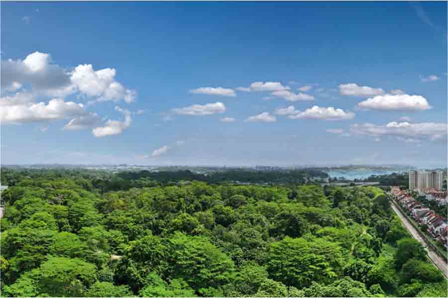 Lentor Gardens Residences floor plan analysis with greenery-facing balcony view near Lentor Gardens